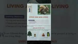 Chapter 1 - Living and Non - Living