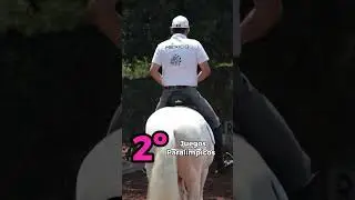 ¡Ignacio Treviño competirá en sus segundos Juegos Paralímpicos en París 2024! 🐎🇫🇷