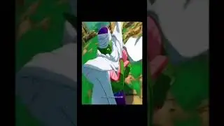 piccolo