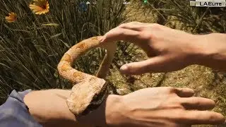 Far Cry 5 - 05 - The Wildlife Attacks