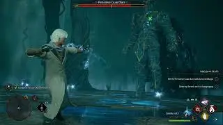Hogwarts legacy combo 133