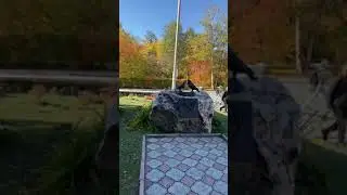 Видео, стихотворение Осенняя весна, Светлана Попова
