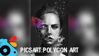 Make Polygon Face! PicsArt Tutorial (2016)