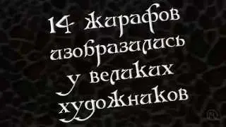Викторина с жирафами