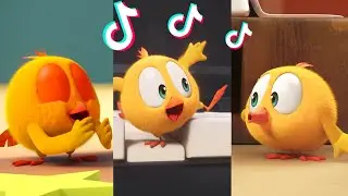 SHORTS CHICKY | CHICKY'S SONG | Where's Chicky #shorts