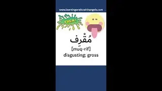 Disgusting! Amazing! Stunning! Strange! Useful adjectives in Arabic - Learning Arabic With Angela