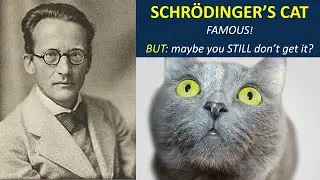 Schrodinger's cat: did you ever really get it, and the link to quantum computing?
