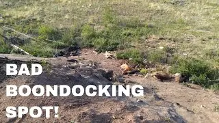 Corpses Everywhere! Bad Boondocking Spot!