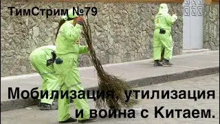 МОБИЛИЗАЦИЯ, УТИЛИЗАЦИЯ И ВОЙНА С КИТАЕМ. ТимСтрим №79