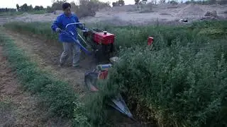 alfalfa cutter/alfalfa cutting machine/alfalfa cut machine