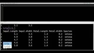 Subsetting Data in R