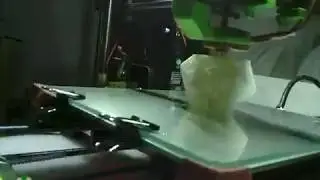 D20 whole nums