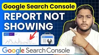 Google Search Console Data Report Not Showing