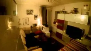 Le pitbull Attaque le Voleur - PitBull Attack the burglar the thief
