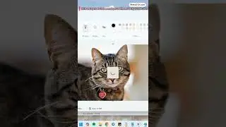 Remove image background in Paint Windows 11 #shorts #windows11 #windowstricks #Paint