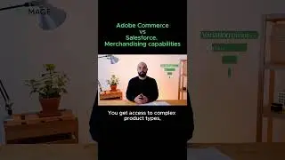 Adobe Commerce vs Salesforce. Merchandising capabilities