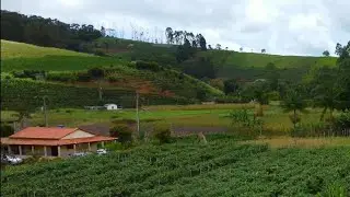 A comunidade dos Firmino, muita produção de cultivares.