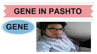 Genes | Home of biology