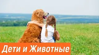 Дети и животные видео приколы | Смешные животные до слез лучшее.