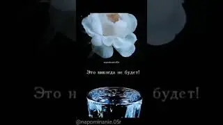 душе нужен Аллах