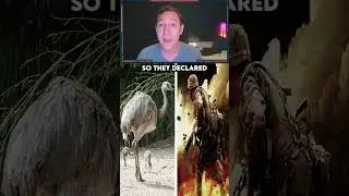 Australia's Bizarre War Against Emus