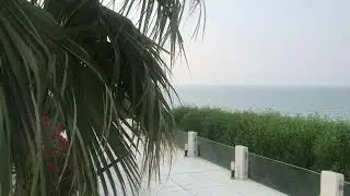 আরবের সাগর পাড়ের মনোরম পরিবেশ