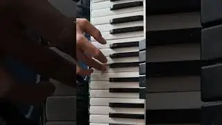 LOVELY на аккордеоне 