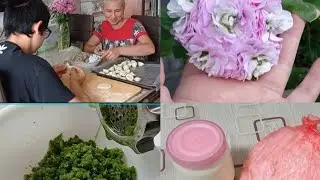 ОГОРОДНЫЕ ДЕЛА/ ПЕЛАРГОШКИ/ ЧЕСНОЧНЫЕ СТРЕЛКИ/ лепим ПЕЛЬМЕНИ