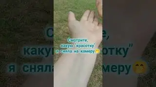 Она красотка или нет?😀Подпишись🤗#природа #позитив #моивидео #лето2024 #shorts