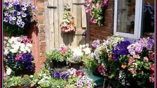 Jayne's Gardening & Landscaping Services
