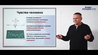 Феномен зависимого поведения