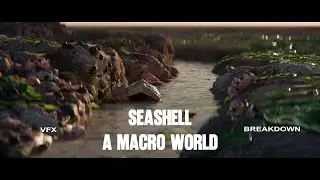 Seashell - A Macro World | VFX Breakdown