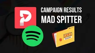 Playlist Push Campaign Results: Mad Spitter