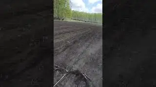 ЮМЗ-6 посев по идеальному полю
