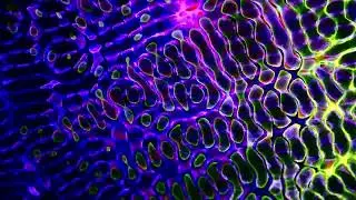 Fractal Enigma: Unveiling the Secrets of Random Patterns with Ambient Melodies