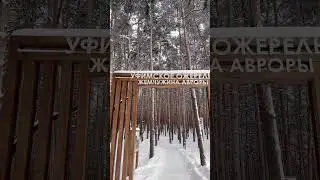 В УФЕ ОТКРЫЛИ ЖЕМЧУЖИНУ АВРОРЫ