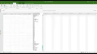 MS Project Initial Config