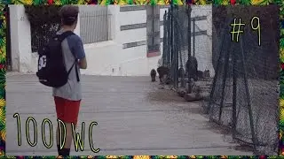Y SI NOS ATACAN ESOS JABALÍS!?