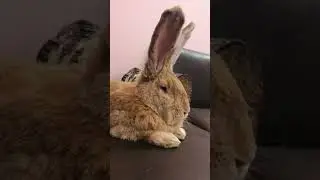 выясняем, кто больше спит 😂 