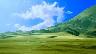 No Copyright © HD Background video । Nature Background Video HD । Background Video HD