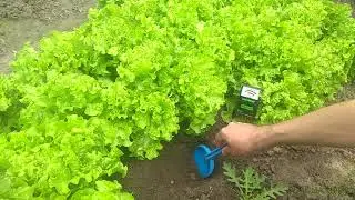 Rapitest 1860 измерение рН почвы