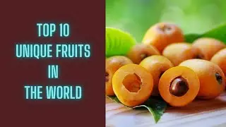 Top 10 Unique Fruits from Around the World | Health Tips | Sky world