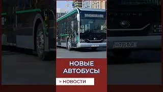 Новые автобусы в Томске, маршрут 19 #новости #томск
