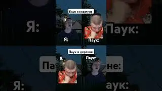 паук в деревне