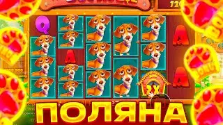 ТОПОВЫЙ СПИН НА ???.???Р В ДОГ ХАУС! ВЫБИЛ 4 ЛАПЫ В БОНУСЕ DOG HOUSE MEGAWAYS! ЗАНОСЫ НЕДЕЛИ