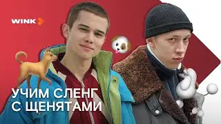 Учим сленг с щенятами | «Слово пацана. Кровь на асфальте» (2023) Wink