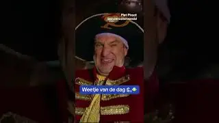 Een weetje van Piet Piraat op Wereldzeedag! #pietpiraatwonderwaterwereld #ketnet #vrtmax