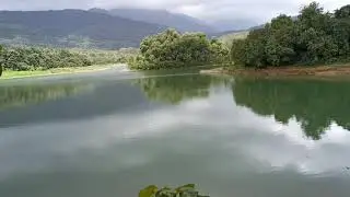 പുഴ കടന്ന് മരങ്ങൾക്കിടയിലൂടെ ...