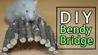 How To Make Bendy Bridge For Hamster /DIY Hamster Toy