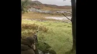 Stag shot in loch